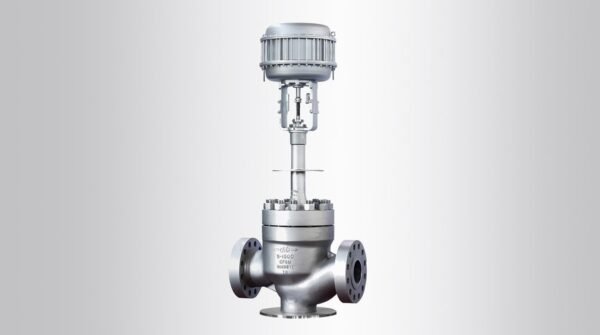Chuanyi Globe Control Valve