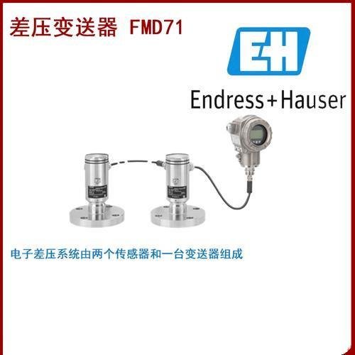 Endress+Hauser Deltabar FMD71 Differential Pressure Transmitter